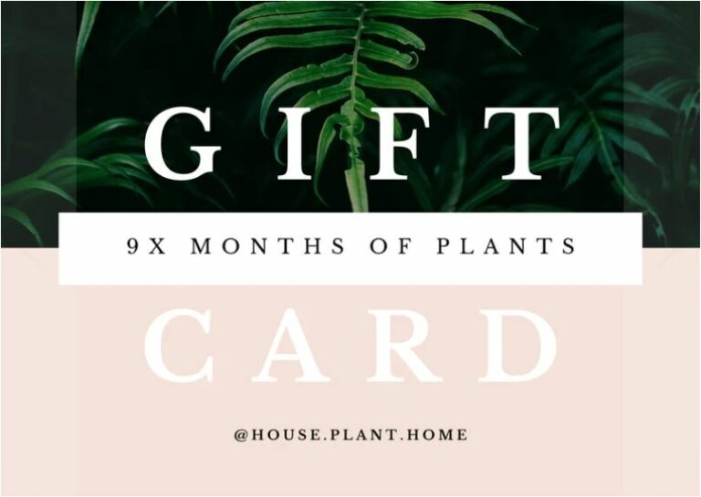 gift card plant subscription